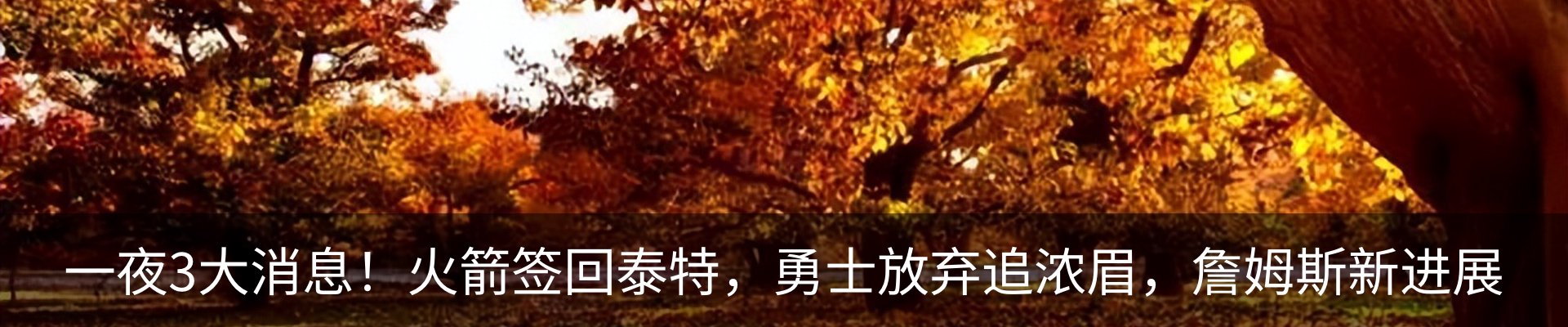新闻动态
