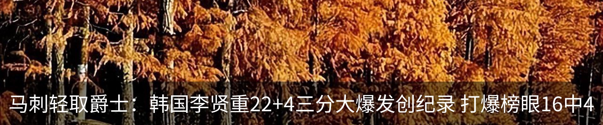 新闻动态